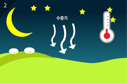 밤에는 기온이 추워지면서 기온차로 의해 공기중의 수증기가 바닥으로 내려와 물방울로 변합니다. 이것이 이슬입니다.